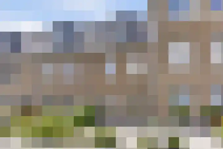 Kaapsduinhof 35 Zeewolde thumbnail 28