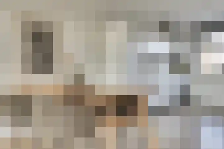 Kaapsduinhof 55 Zeewolde thumbnail 10