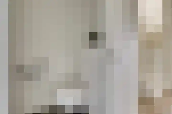 Kaapsduinhof 55 Zeewolde thumbnail 14