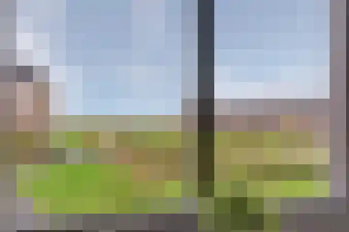 Kaapsduinhof 55 Zeewolde thumbnail 21