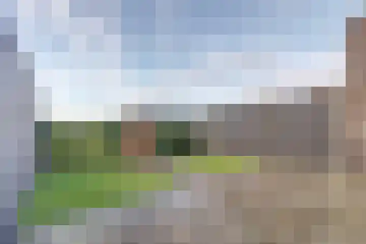 Kaapsduinhof 55 Zeewolde thumbnail 29