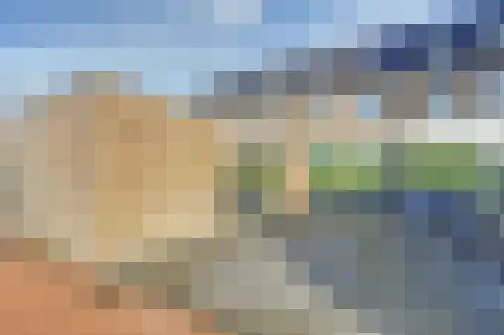 Kaapsduinhof 55 Zeewolde thumbnail 31