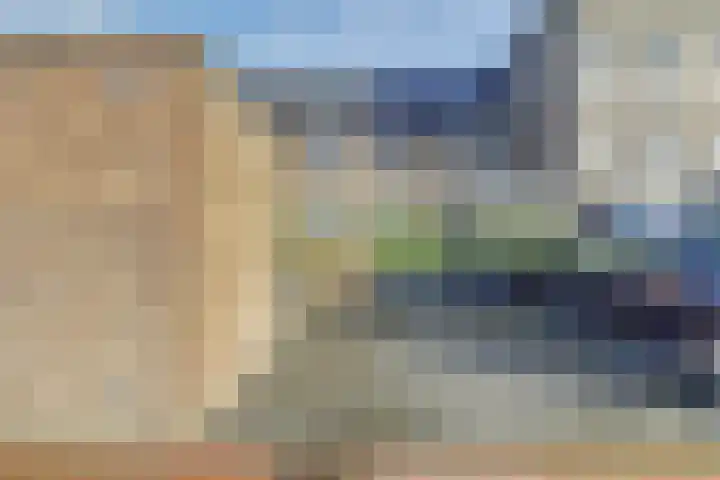 Kaapsduinhof 55 Zeewolde thumbnail 32