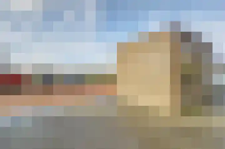 Kaapsduinhof 55 Zeewolde thumbnail 33