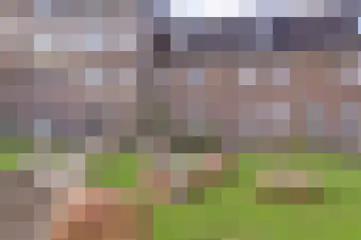 Kaapsduinhof 55 Zeewolde thumbnail 34