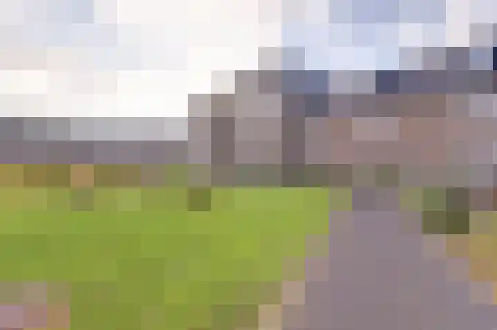 Kaapsduinhof 55 Zeewolde thumbnail 35