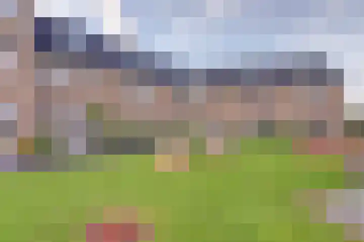 Kaapsduinhof 55 Zeewolde thumbnail 36