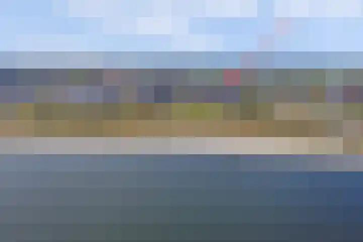 Kaapsduinhof 55 Zeewolde thumbnail 37