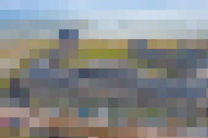 Kaapsduinhof 55 Zeewolde thumbnail 38