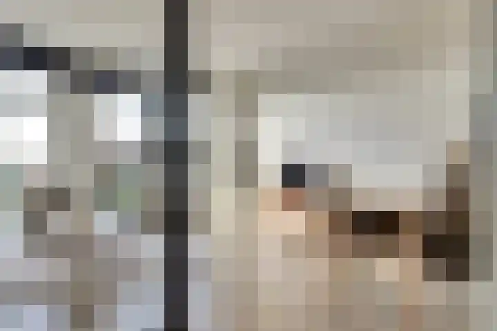 Kaapsduinhof 55 Zeewolde thumbnail 5