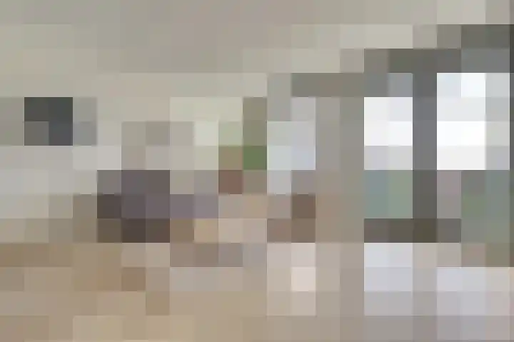 Kaapsduinhof 55 Zeewolde thumbnail 7