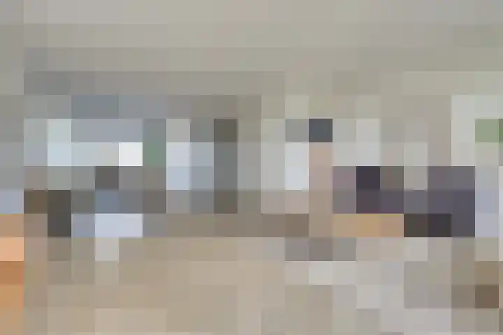 Kaapsduinhof 55 Zeewolde thumbnail 8