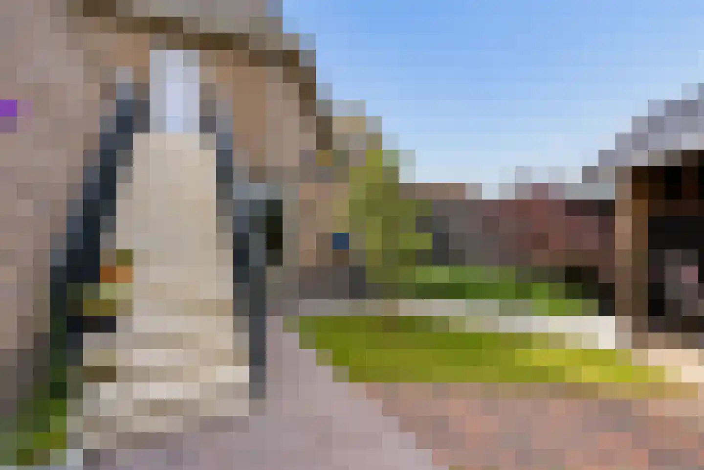 Kaapsduinhof 63 Zeewolde thumbnail 44