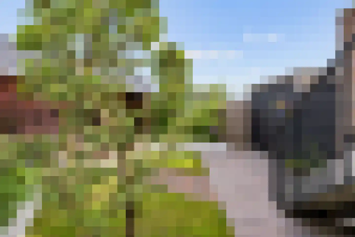 Kaapsduinhof 63 Zeewolde thumbnail 45