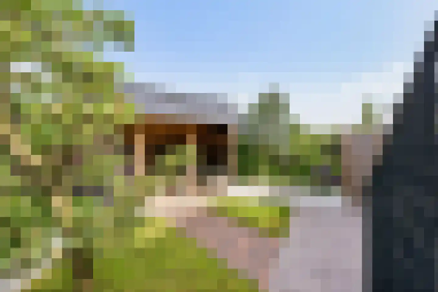 Kaapsduinhof 63 Zeewolde thumbnail 46