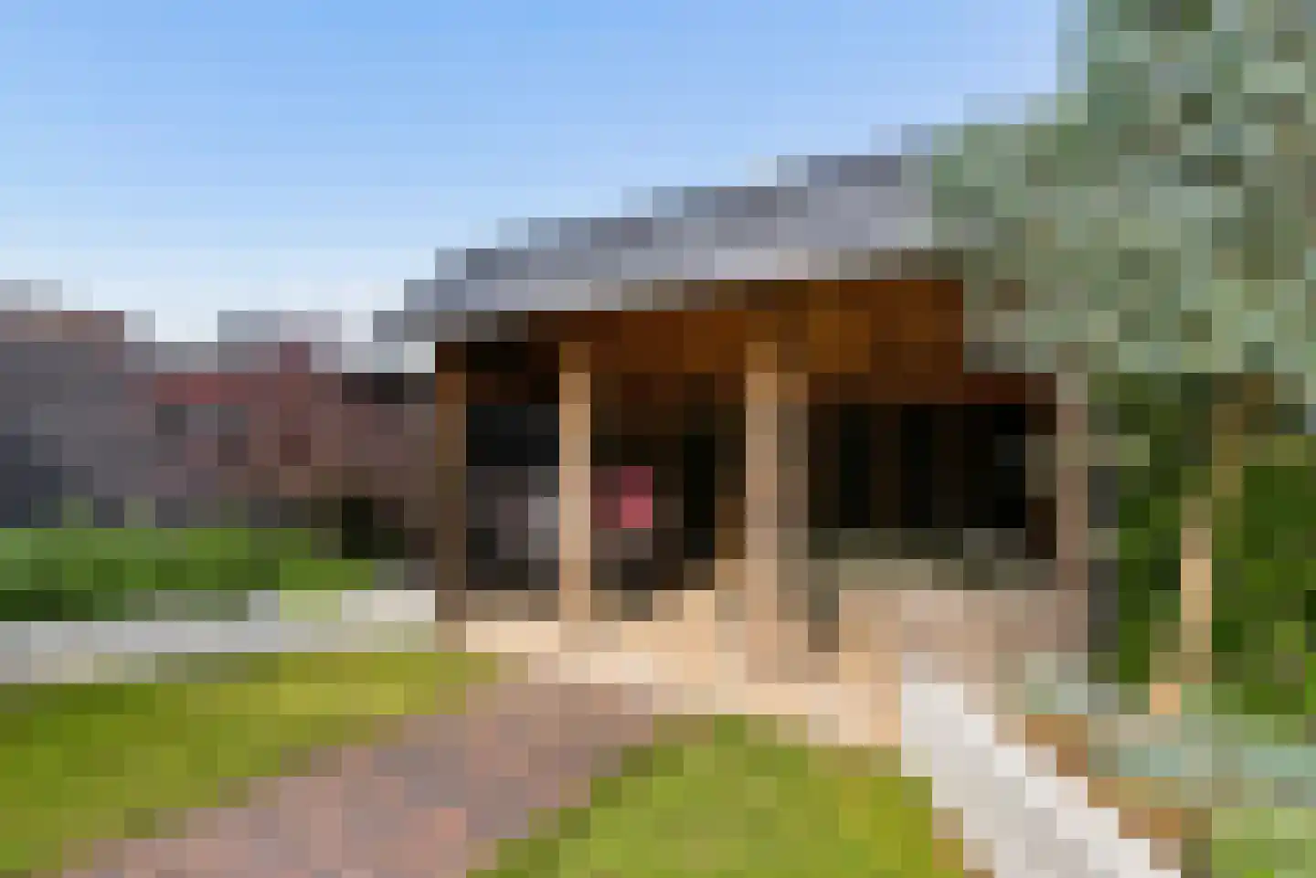 Kaapsduinhof 63 Zeewolde thumbnail 47