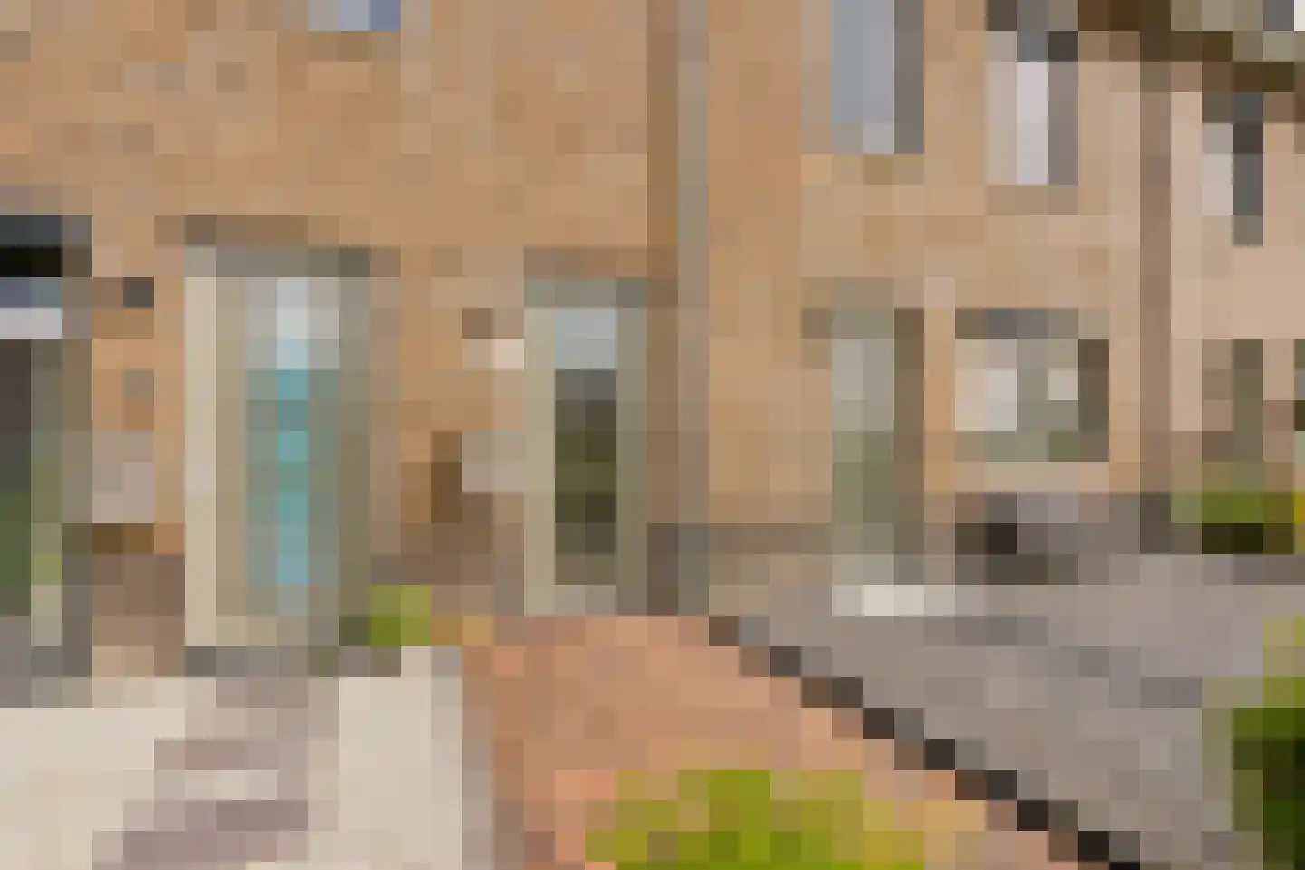 Kaapsduinhof 63 Zeewolde thumbnail 5