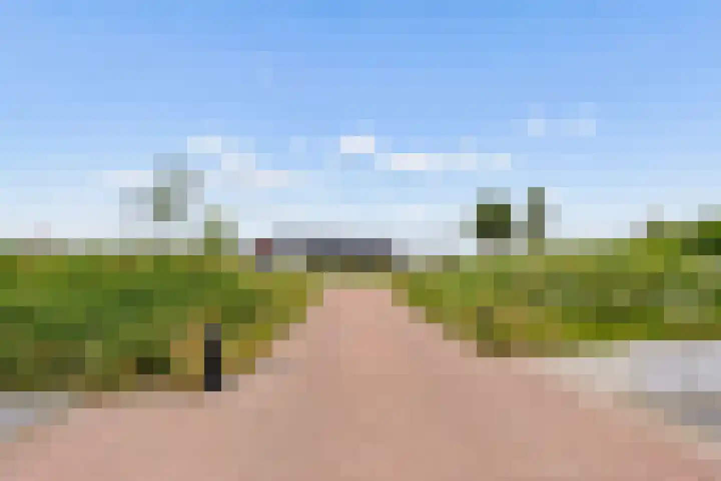 Kaapsduinhof 63 Zeewolde thumbnail 57