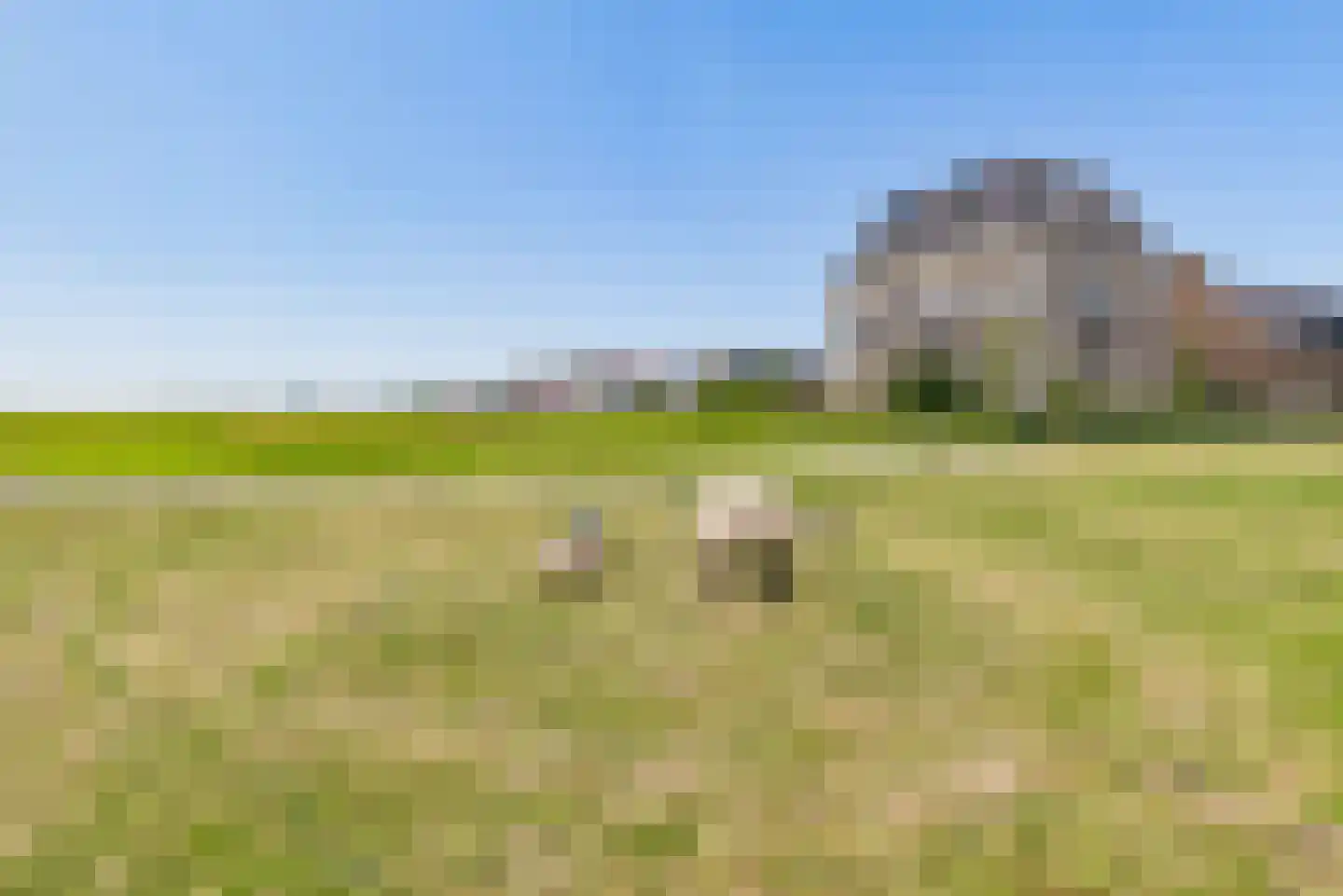Kaapsduinhof 63 Zeewolde thumbnail 60