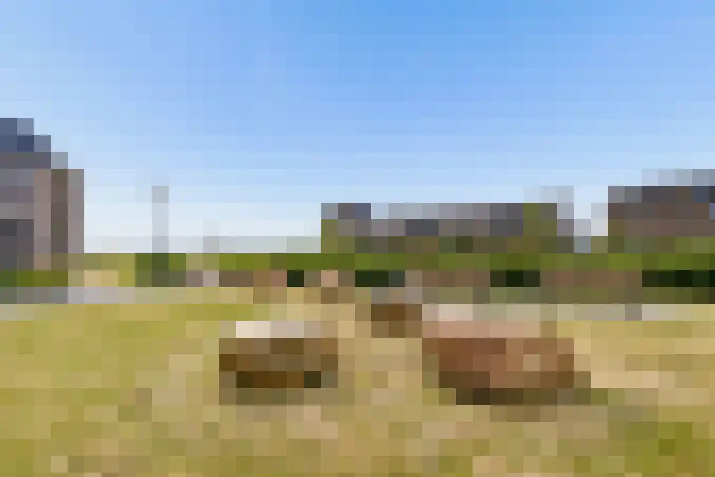 Kaapsduinhof 63 Zeewolde thumbnail 64