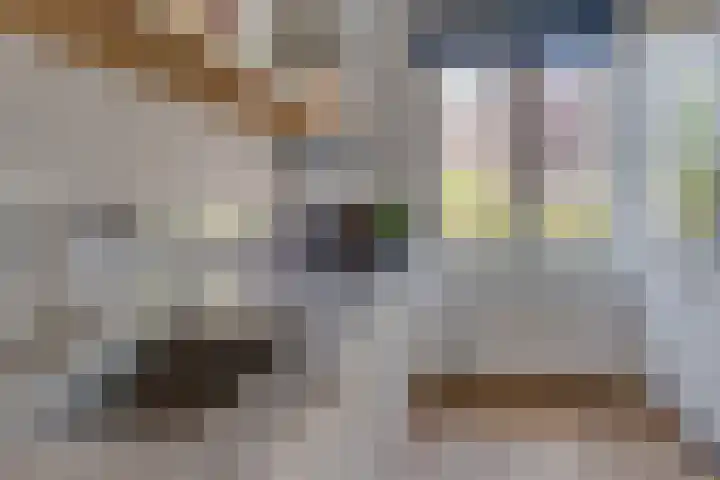 Kaapse Bossen 24 Vleuten thumbnail 10