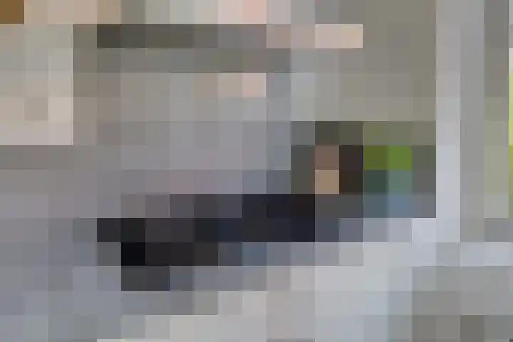 Kaapse Bossen 24 Vleuten thumbnail 11