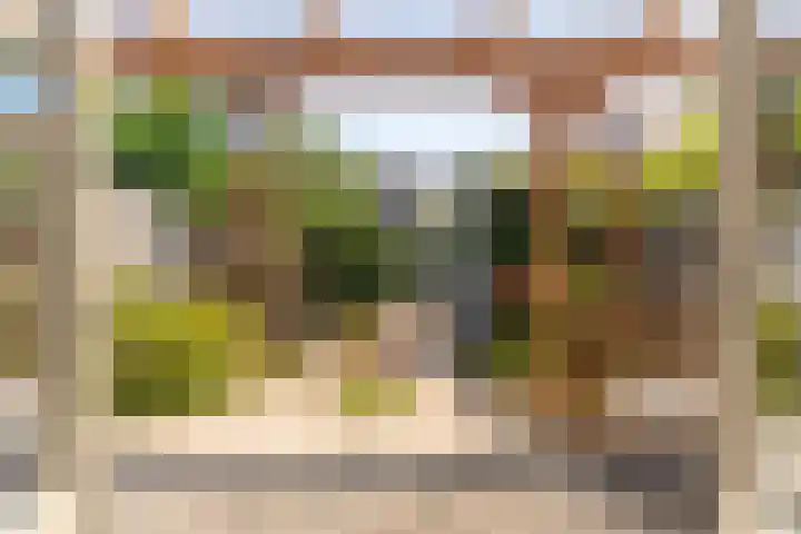 Kaapse Bossen 24 Vleuten thumbnail 14