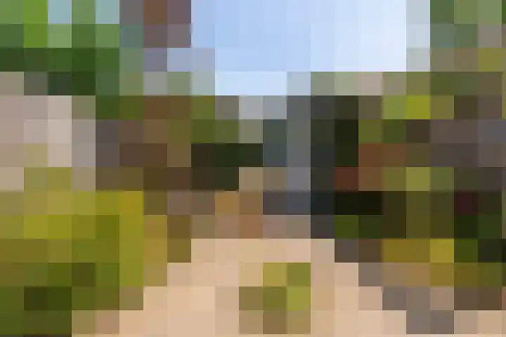 Kaapse Bossen 24 Vleuten thumbnail 15