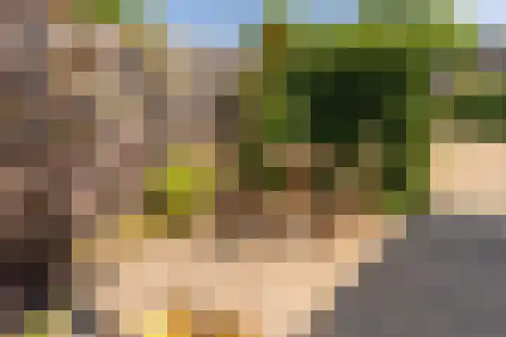 Kaapse Bossen 24 Vleuten thumbnail 16