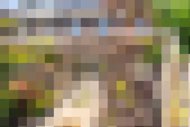 Kaapse Bossen 24 Vleuten thumbnail 17
