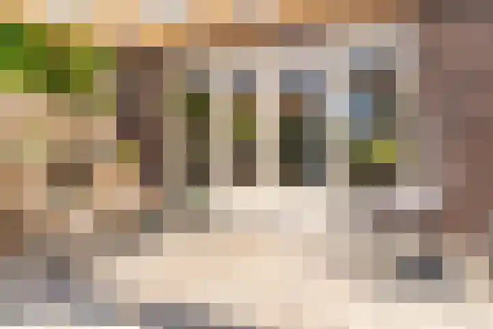 Kaapse Bossen 24 Vleuten thumbnail 18