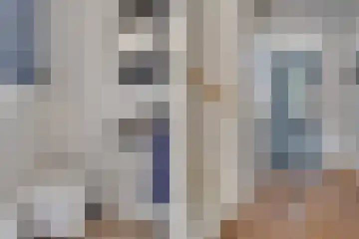 Kaapse Bossen 24 Vleuten thumbnail 19