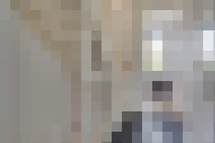 Kaapse Bossen 24 Vleuten thumbnail 20