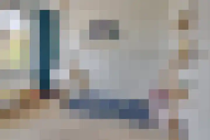 Kaapse Bossen 24 Vleuten thumbnail 23