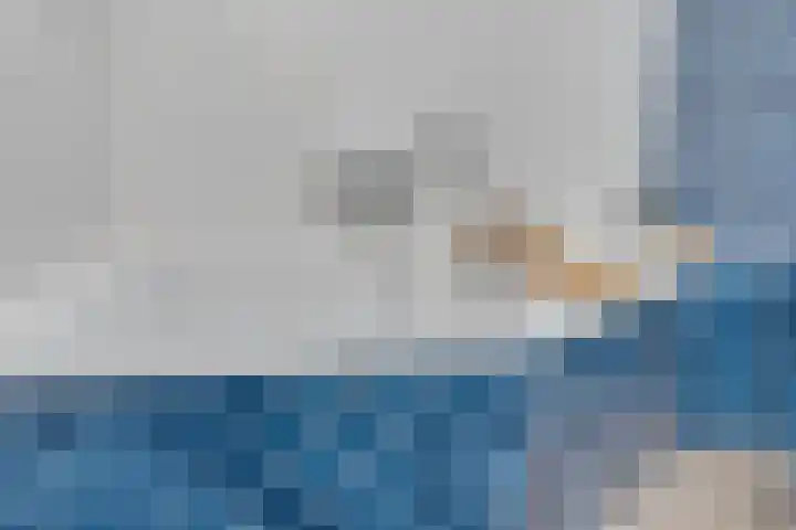 Kaapse Bossen 24 Vleuten thumbnail 27