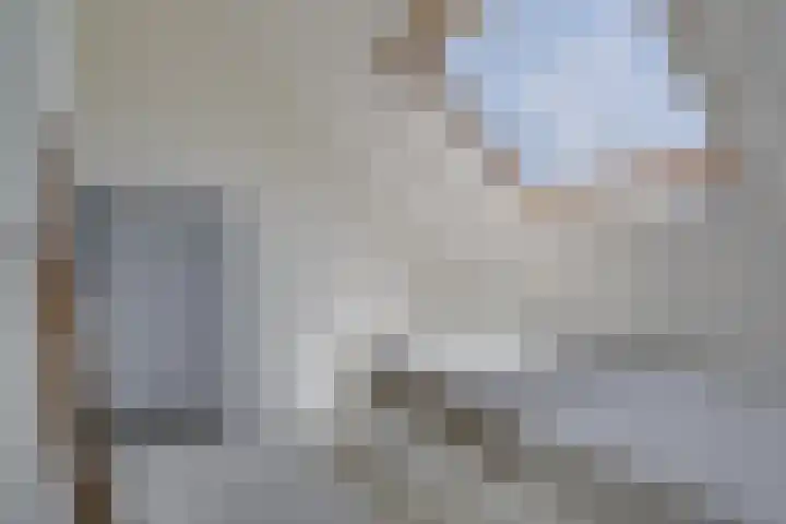 Kaapse Bossen 24 Vleuten thumbnail 33
