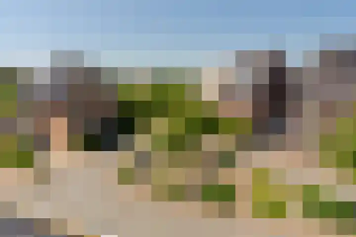 Kaapse Bossen 24 Vleuten thumbnail 35
