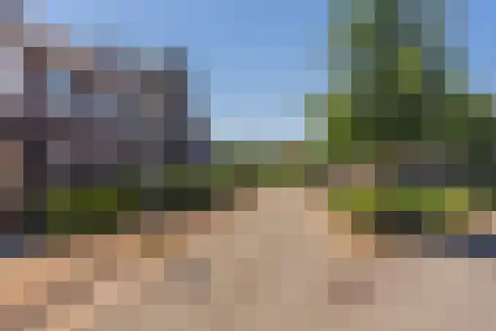 Kaapse Bossen 24 Vleuten thumbnail 36