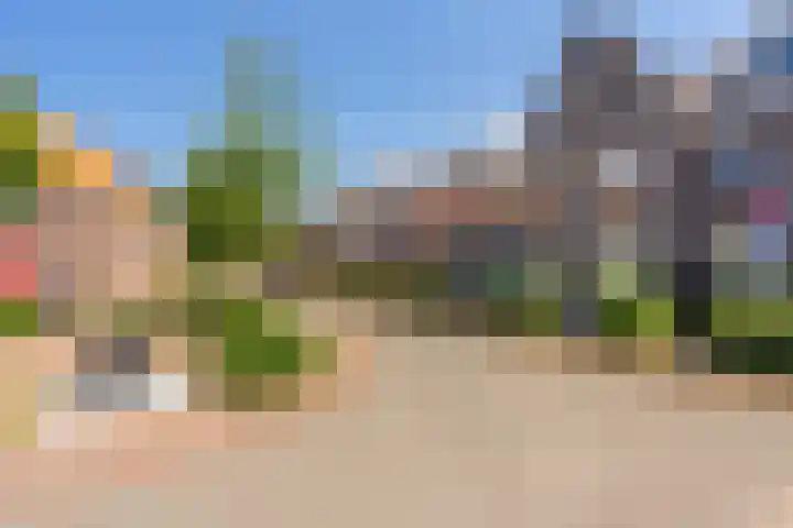Kaapse Bossen 24 Vleuten thumbnail 37