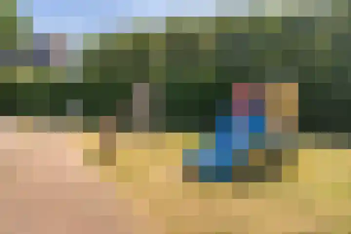 Kaapse Bossen 24 Vleuten thumbnail 38
