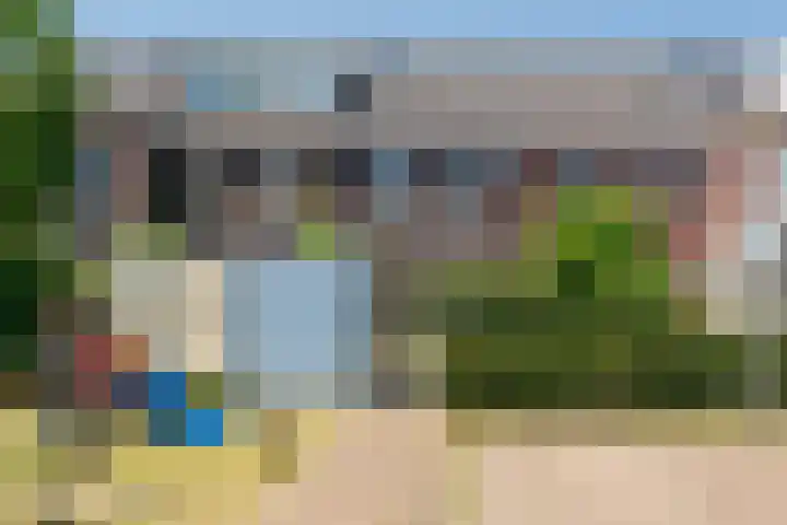 Kaapse Bossen 24 Vleuten thumbnail 39