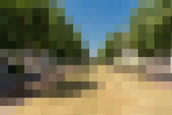 Kaapse Bossen 24 Vleuten thumbnail 40