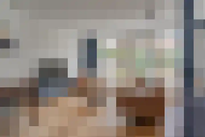 Kaapse Bossen 24 Vleuten thumbnail 5