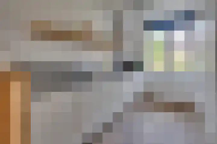 Kaapse Bossen 24 Vleuten thumbnail 9
