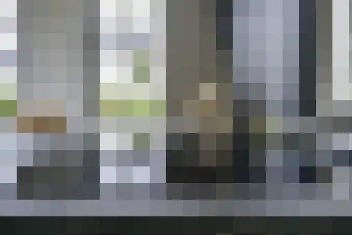 Kaapsehof 1 Doorn thumbnail 15