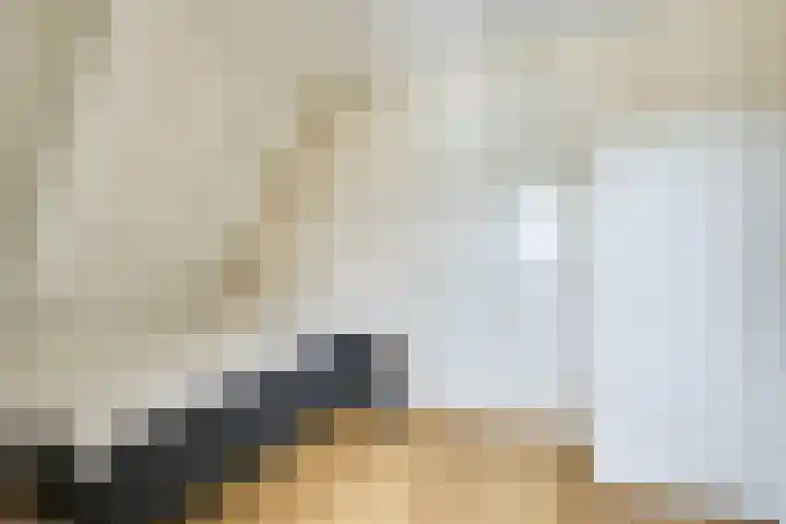 Kaapsehof 1 Doorn thumbnail 41