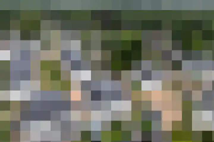 Kaapsehof 1 Doorn thumbnail 48