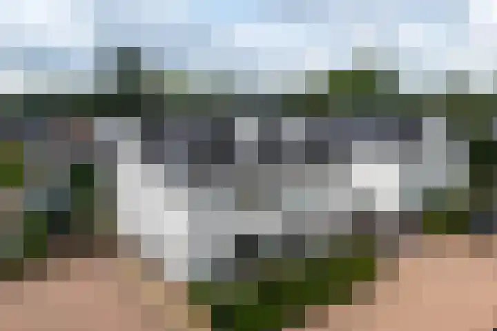 Kaapsehof 1 Doorn thumbnail 51