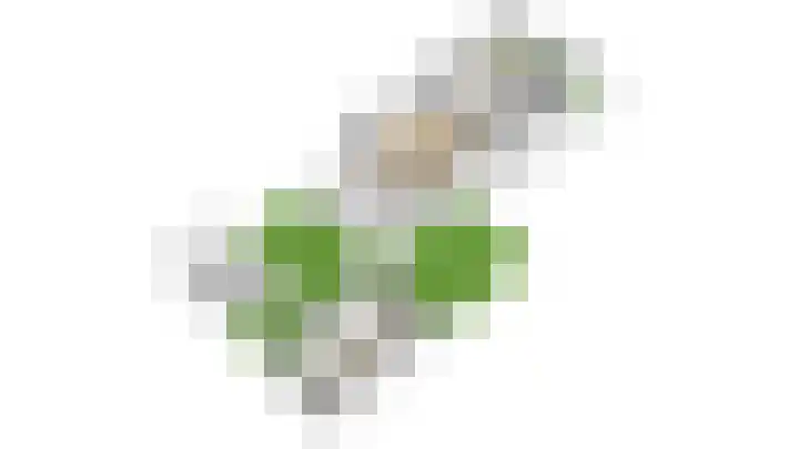 Kaapsehof 1 Doorn thumbnail 66