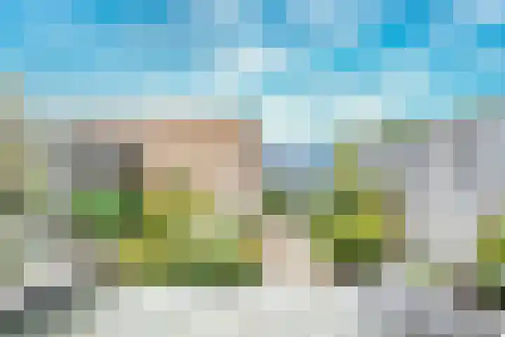 Kaapsehof 19 Doorn thumbnail 14